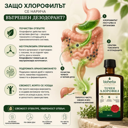 Течен Хлорофил 250 мл