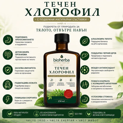 Течен Хлорофил 250 мл
